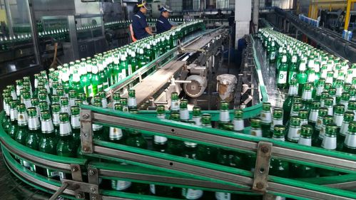 青岛弘利方啤酒厂家2017下半年订货政策:每款500ml销量王产品订单30吨